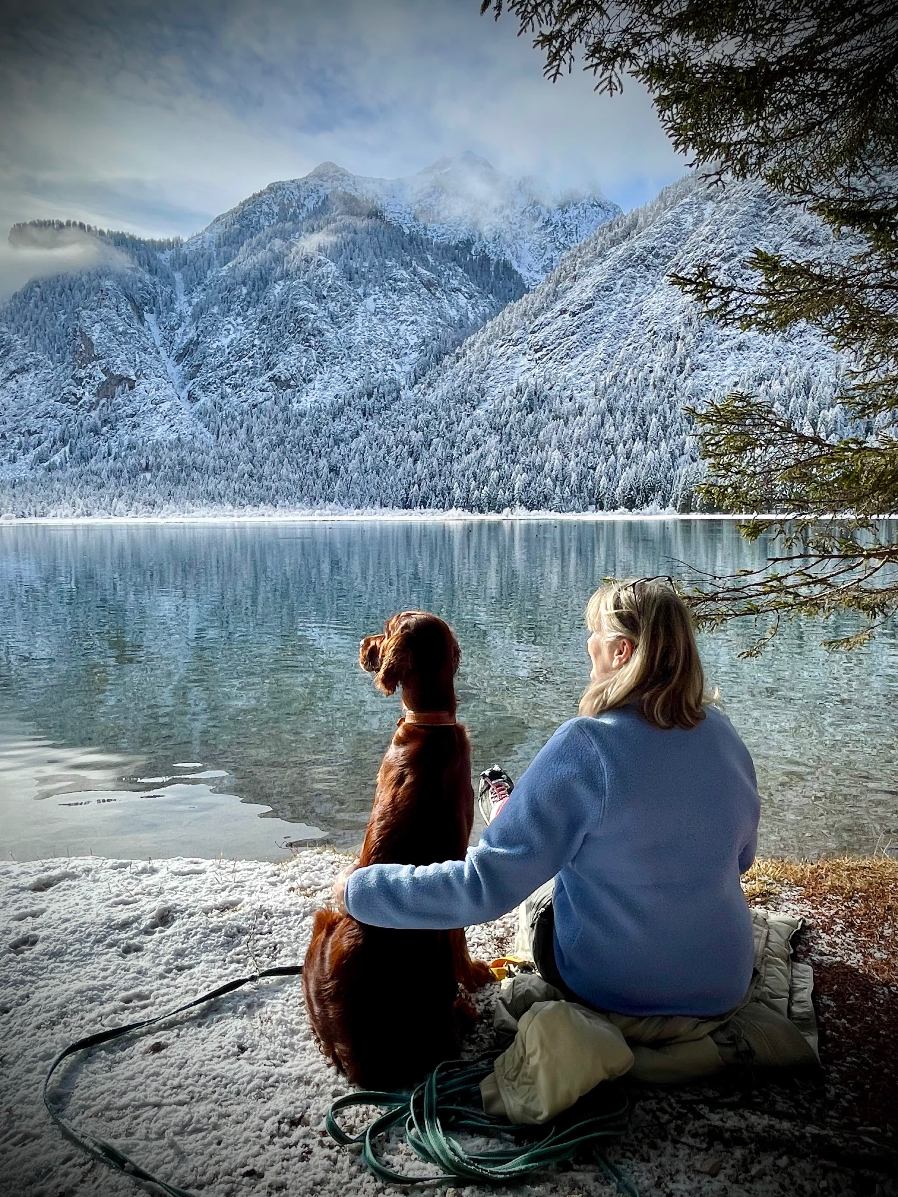 Winterlandschaft am See
